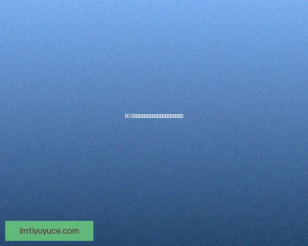 IM体育最新地址助力玩家畅享极速体育体验全新平台开启无缝连接