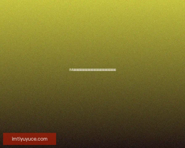 IM体育最新地址助力玩家畅享极速体育体验全新平台开启无缝连接