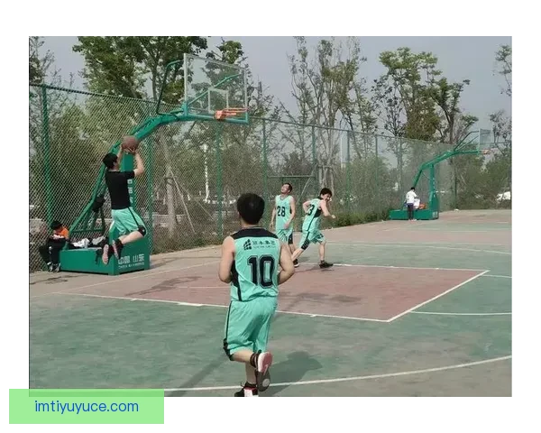 IM体育平台推荐助你畅享精彩赛事体验提升娱乐游戏水平